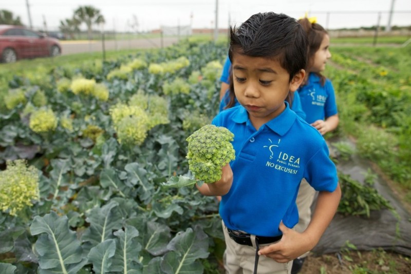 Meet Justin: The Together Farmer!