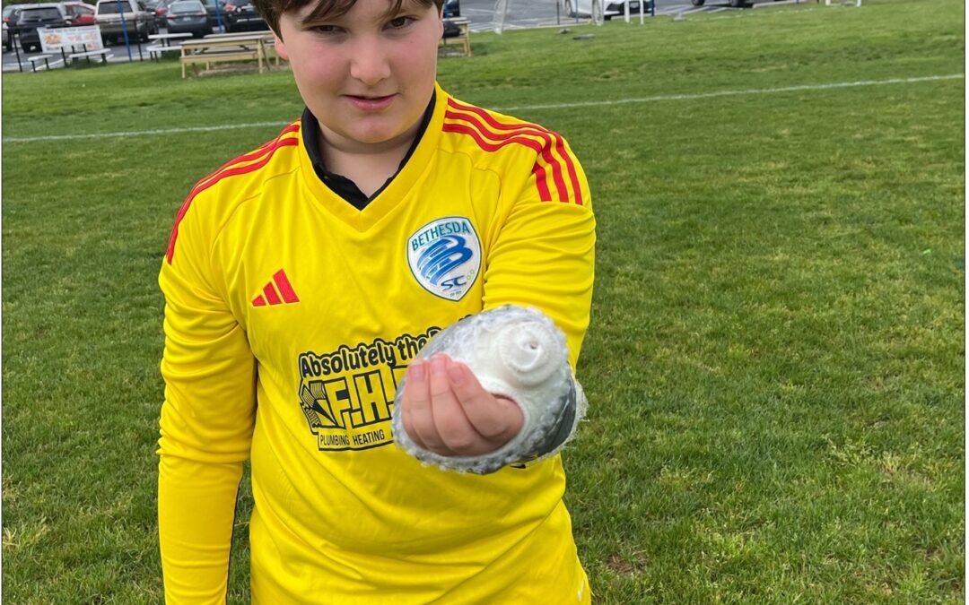 May Tips: Cat Cones, Cantilevers & The (VERY COLD) Chesapeake