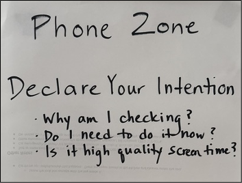 To Brick or Not to Brick: How Do You Handle Screen Time?