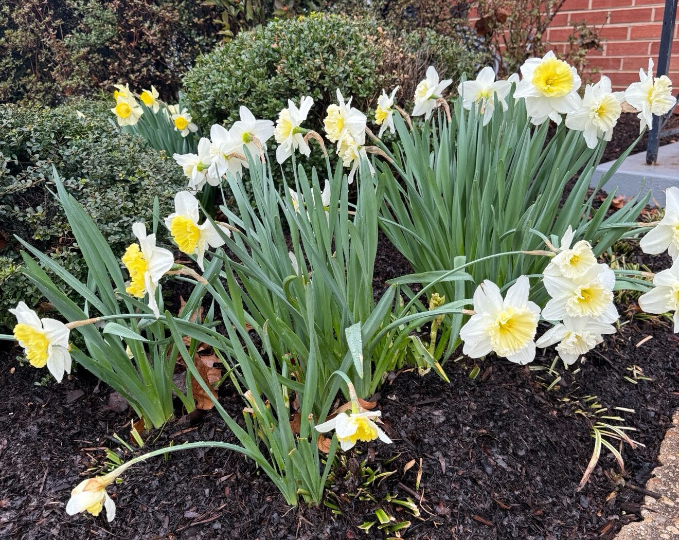 April Tips: Pause, Prune & Prepare | The Together Group